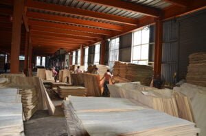 Plywood Suppliers,Film Faced Plywood,Manufacturers,Furnitures Plywood,Plywood Factories,Anti Sip Plywood,Hardwood Plywood