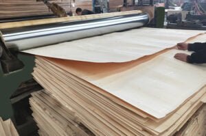 Plywood Suppliers,Film Faced Plywood,Manufacturers,Furnitures Plywood,Plywood Factories,Anti Sip Plywood,Hardwood Plywood