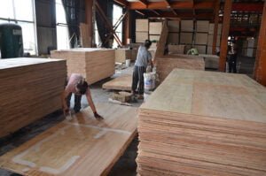 Plywood Suppliers,Film Faced Plywood,Manufacturers,Furnitures Plywood,Plywood Factories,Anti Sip Plywood,Hardwood Plywood