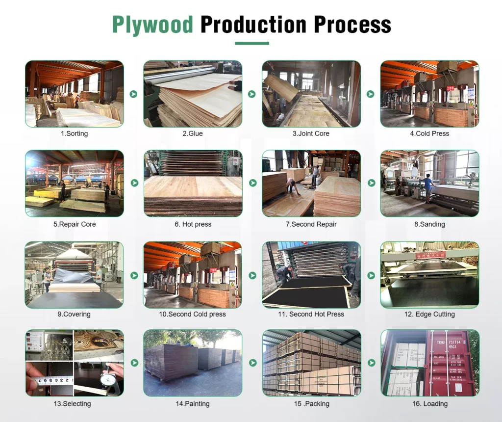 plywood production process