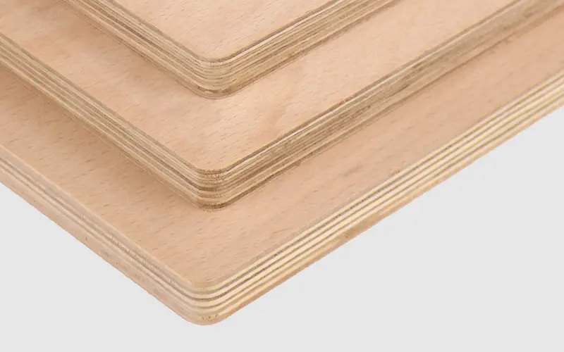 beech plywood 1