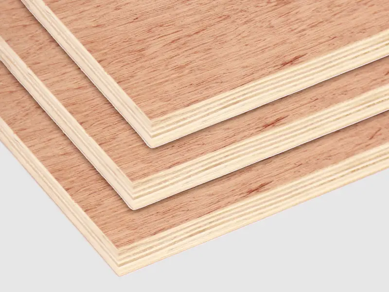 bintangor plywood