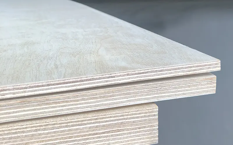 birch plywood
