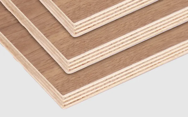 black walnut plywood 1