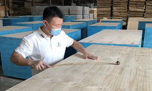 fortuna professional quality inspectors 3