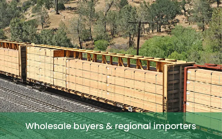 wholesale buyers & regional importers